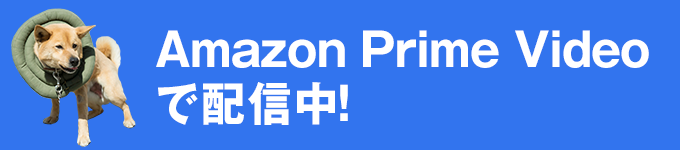 Amazon Prime Videoで配信中