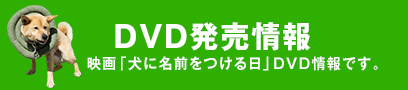 DVD発売情報